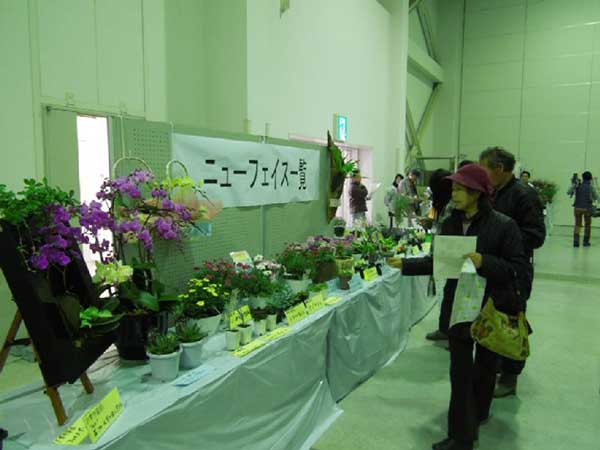 静岡県東部花き流通センター大商談会２０１５写真2
